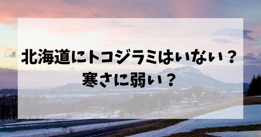 北海道にトコジラミはいない？寒さに弱い？